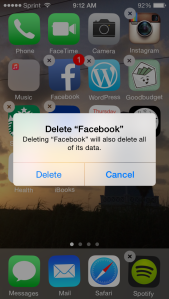 FB Delete